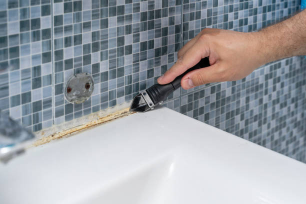 Best Mold Testing and Inspection Services in Wickliffe, OH